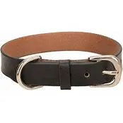 Leather Dog Collar