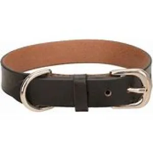 Leather Dog Collar